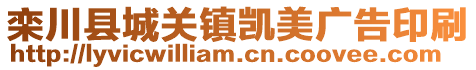 栾川县城关镇凯美广告印刷