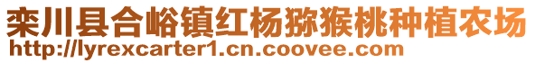 栾川县合峪镇红杨猕猴桃种植农场