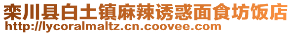 欒川縣白土鎮(zhèn)麻辣誘惑面食坊飯店