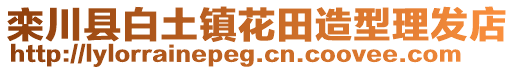 栾川县白土镇花田造型理发店