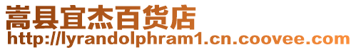 嵩縣宜杰百貨店