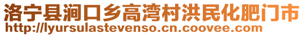 洛寧縣澗口鄉(xiāng)高灣村洪民化肥門市