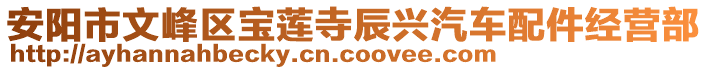 安陽市文峰區(qū)寶蓮寺辰興汽車配件經(jīng)營部