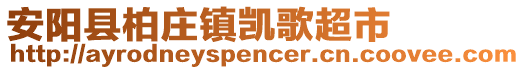 安阳县柏庄镇凯歌超市