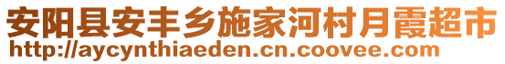 安陽縣安豐鄉(xiāng)施家河村月霞超市