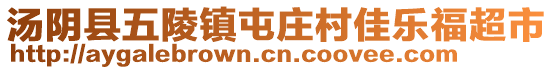 湯陰縣五陵鎮(zhèn)屯莊村佳樂福超市