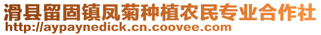 滑縣留固鎮(zhèn)鳳菊種植農民專業(yè)合作社