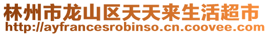 林州市龍山區(qū)天天來生活超市