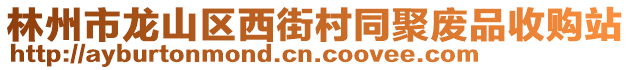 林州市龙山区西街村同聚废品收购站