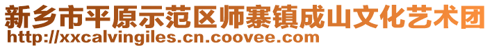 新乡市平原示范区师寨镇成山文化艺术团