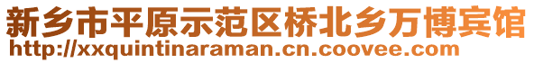 新鄉(xiāng)市平原示范區(qū)橋北鄉(xiāng)萬博賓館