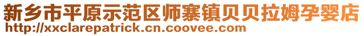 新乡市平原示范区师寨镇贝贝拉姆孕婴店