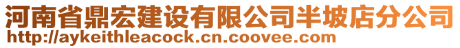 河南省鼎宏建設(shè)有限公司半坡店分公司