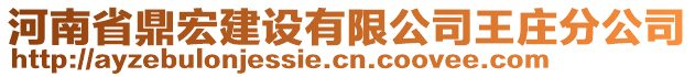 河南省鼎宏建設(shè)有限公司王莊分公司