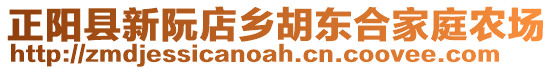 正阳县新阮店乡胡东合家庭农场