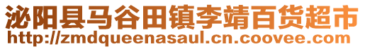 泌阳县马谷田镇李靖百货超市