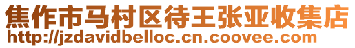 焦作市马村区待王张亚收集店