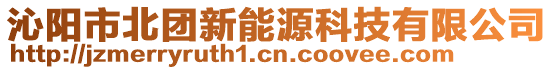 沁阳市北团新能源科技有限公司