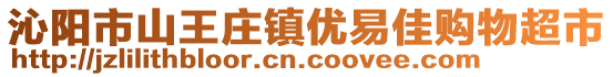 沁阳市山王庄镇优易佳购物超市