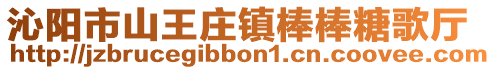 沁阳市山王庄镇棒棒糖歌厅