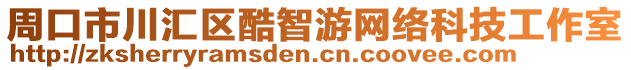 周口市川汇区酷智游网络科技工作室