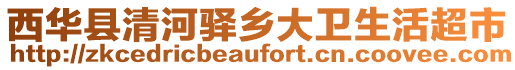 西華縣清河驛鄉(xiāng)大衛(wèi)生活超市