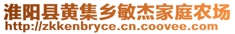 淮陽縣黃集鄉(xiāng)敏杰家庭農(nóng)場