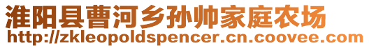 淮陽縣曹河鄉(xiāng)孫帥家庭農(nóng)場