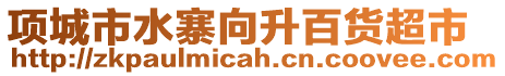 項城市水寨向升百貨超市