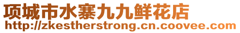 項城市水寨九九鮮花店