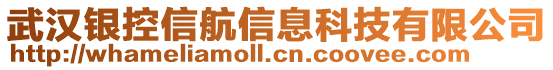 武汉银控信航信息科技有限公司