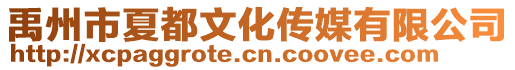 禹州市夏都文化傳媒有限公司