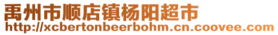 禹州市顺店镇杨阳超市