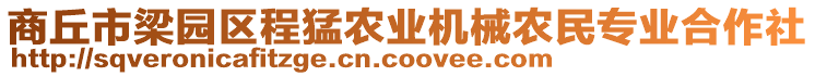 商丘市梁園區(qū)程猛農(nóng)業(yè)機(jī)械農(nóng)民專業(yè)合作社