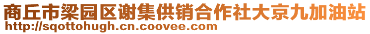 商丘市梁園區(qū)謝集供銷合作社大京九加油站