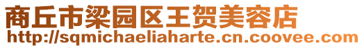 商丘市梁園區王賀美容店