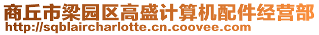 商丘市梁園區(qū)高盛計(jì)算機(jī)配件經(jīng)營部