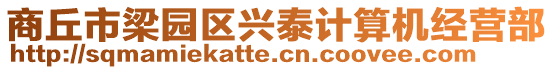 商丘市梁園區(qū)興泰計(jì)算機(jī)經(jīng)營(yíng)部