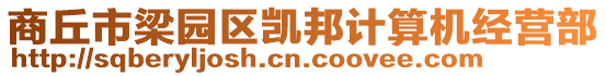 商丘市梁園區凱邦計算機經營部