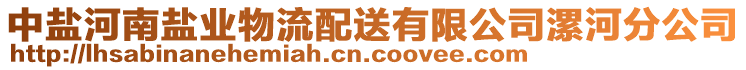 中鹽河南鹽業(yè)物流配送有限公司漯河分公司