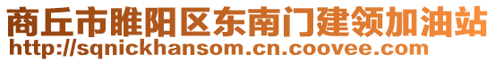 商丘市睢陽(yáng)區(qū)東南門建領(lǐng)加油站