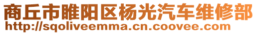 商丘市睢陽區(qū)楊光汽車維修部