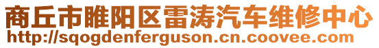 商丘市睢陽區(qū)雷濤汽車維修中心