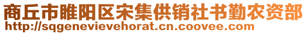 商丘市睢陽區(qū)宋集供銷社書勤農資部