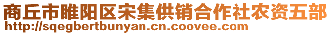 商丘市睢陽區(qū)宋集供銷合作社農(nóng)資五部