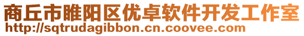 商丘市睢陽(yáng)區(qū)優(yōu)卓軟件開發(fā)工作室