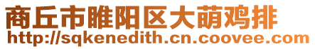 商丘市睢陽區(qū)大萌雞排