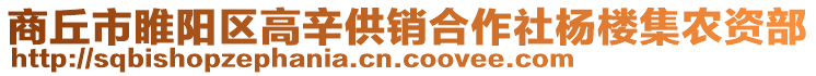 商丘市睢陽(yáng)區(qū)高辛供銷(xiāo)合作社楊樓集農(nóng)資部