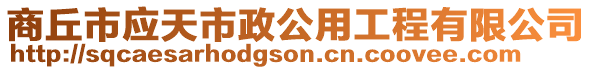 商丘市應(yīng)天市政公用工程有限公司