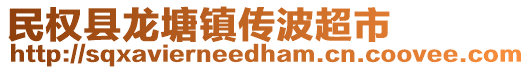 民權(quán)縣龍?zhí)伶?zhèn)傳波超市